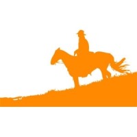 Le cow-boy et le cheval jaune !